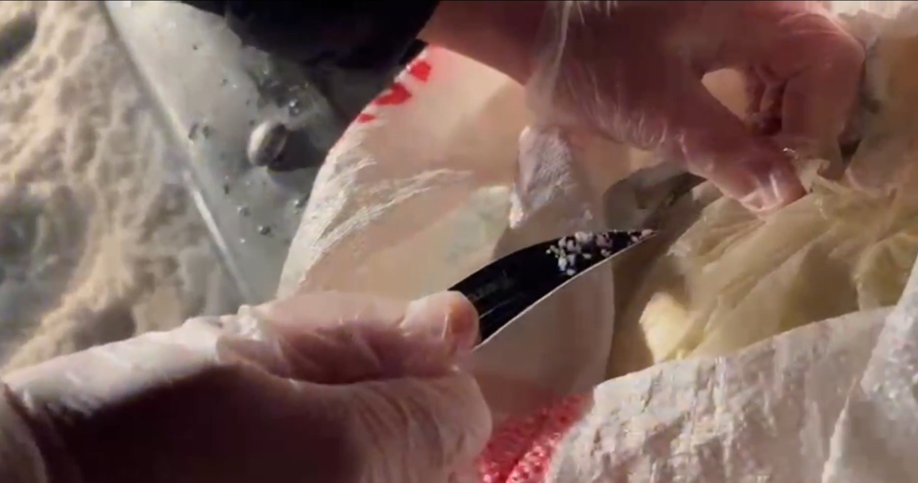 Ekran goruntusu 2026 03 31 143405