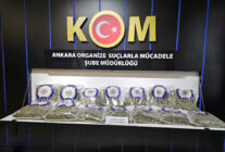 ANKARADA 25 KILO SKUNK ELE GECIRILDI 2 1285227 382413