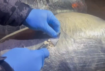 Ekran goruntusu 2026 04 01 164401