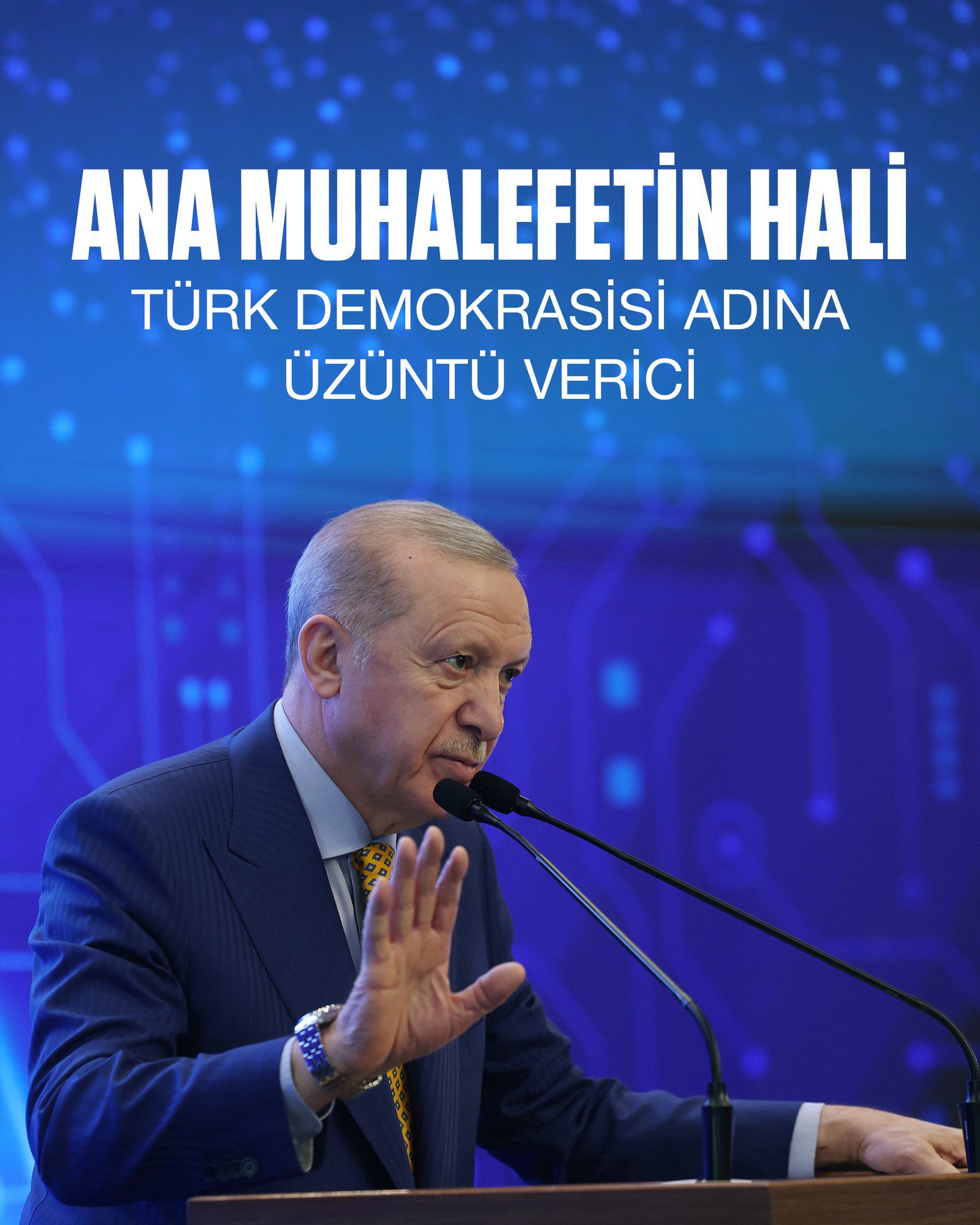 WhatsApp Image 2026 04 13 at 20.08.23