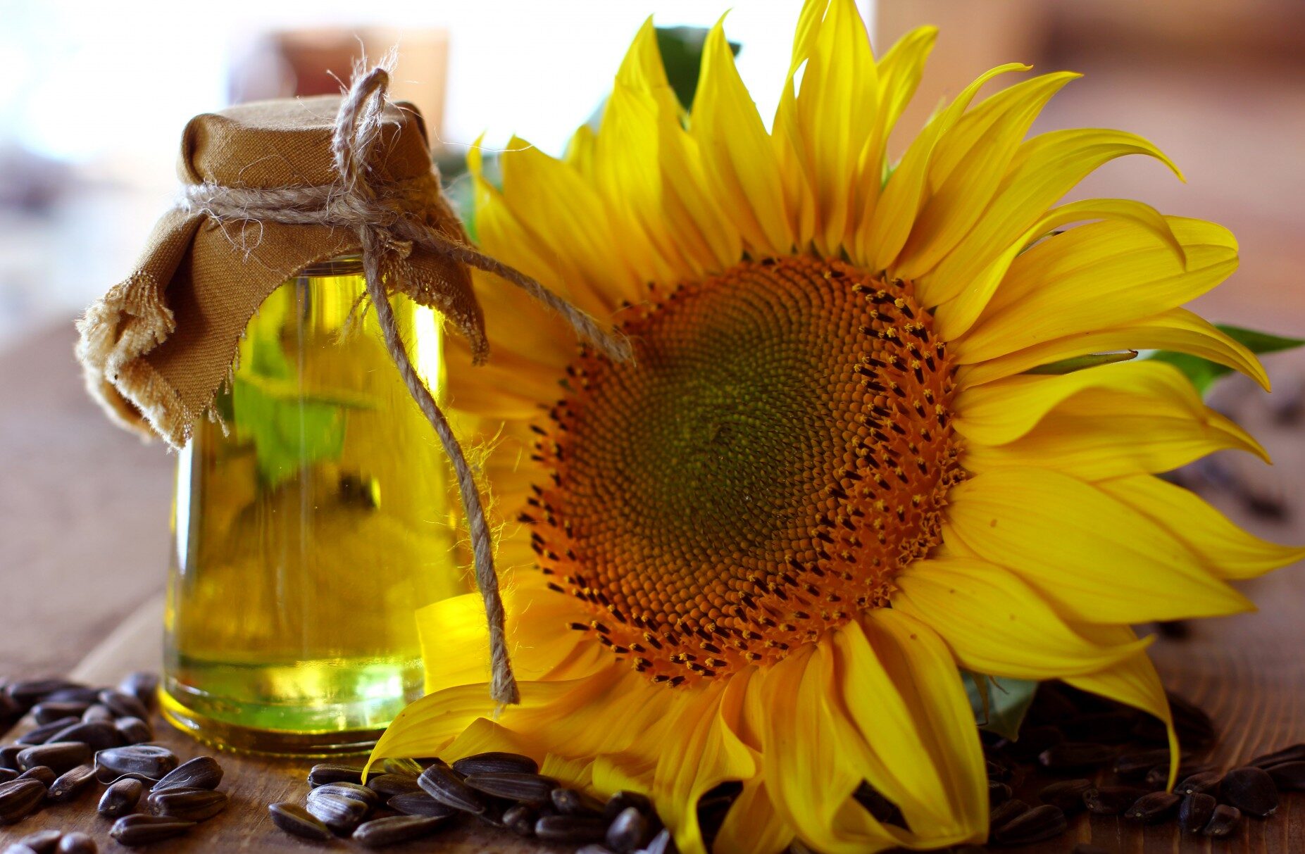 aycicek e1777191659371