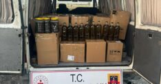BIN 560 LITRE TAGSISTAKLIT ZEYTINYAGI E 1308231 388915