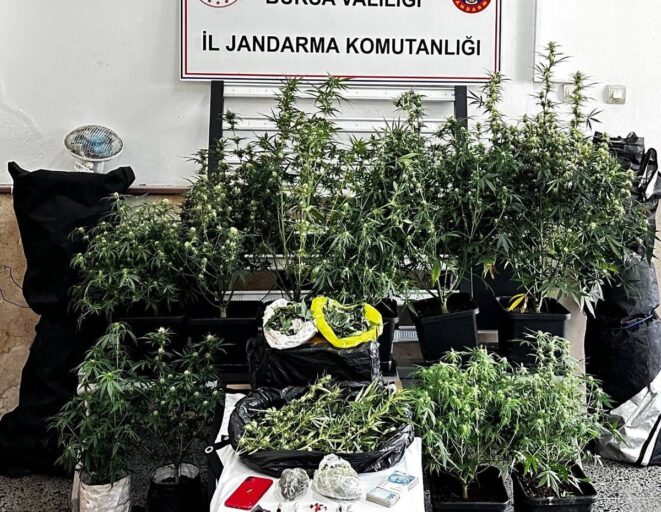 BURSADA UYUSTURUCU OPERASYONU 1 TUTUKL 1288962 383518