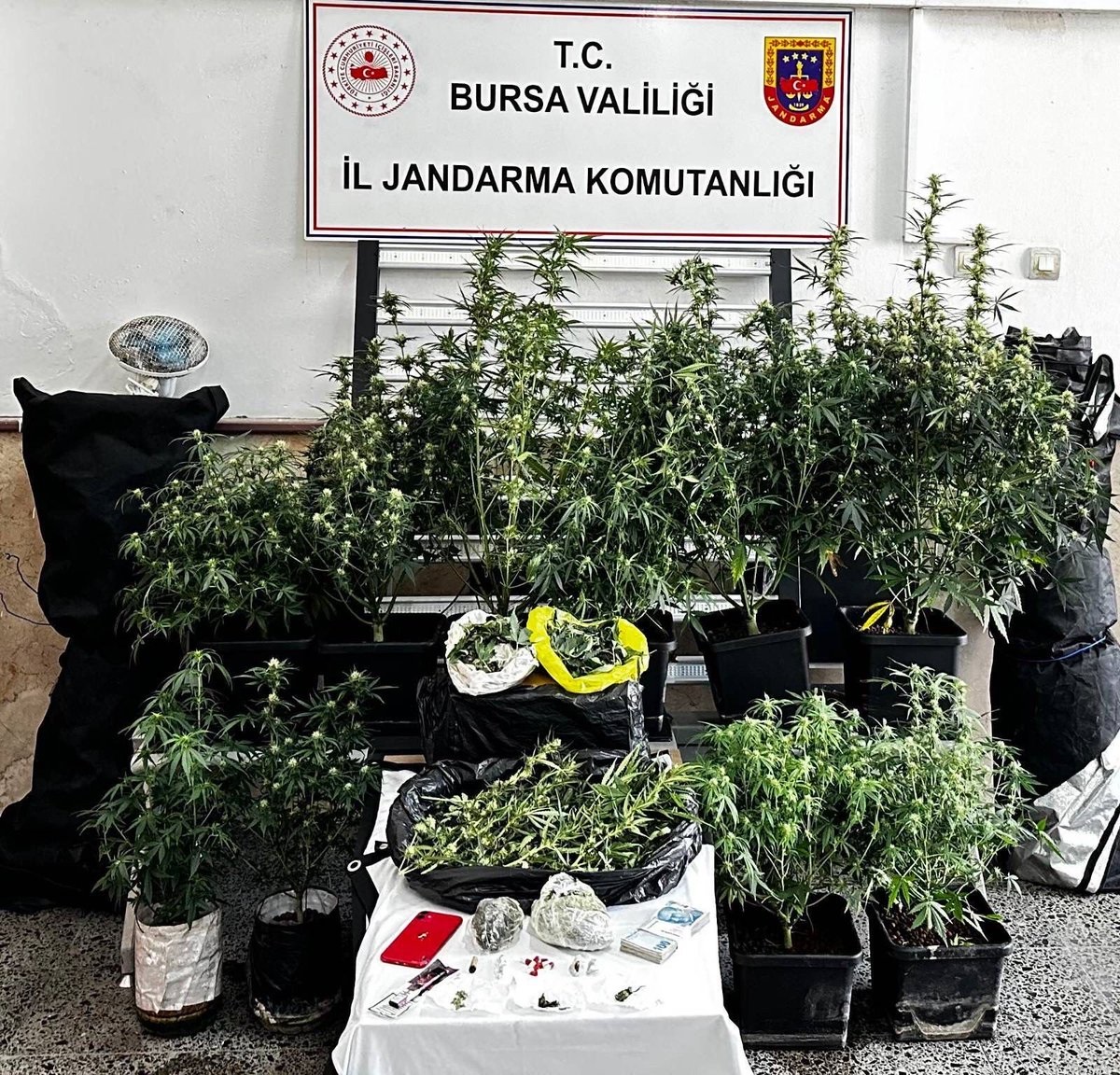 BURSADA UYUSTURUCU OPERASYONU 1 TUTUKL 1288962 383518
