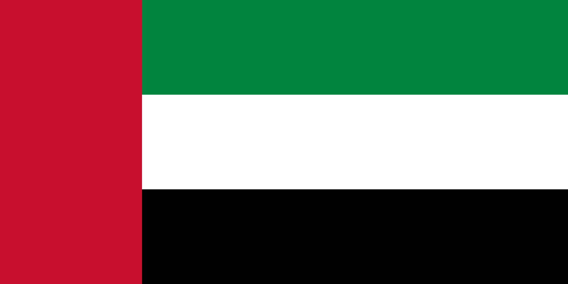 uae bae.webp