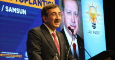 CUMHURBASKANI YARDIMCISI YILMAZ TURKIYE 1358223 403273 scaled