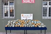 MSB VAN HUDUT HATTINDA 290 KILO UYUSTUR 1360664 404000